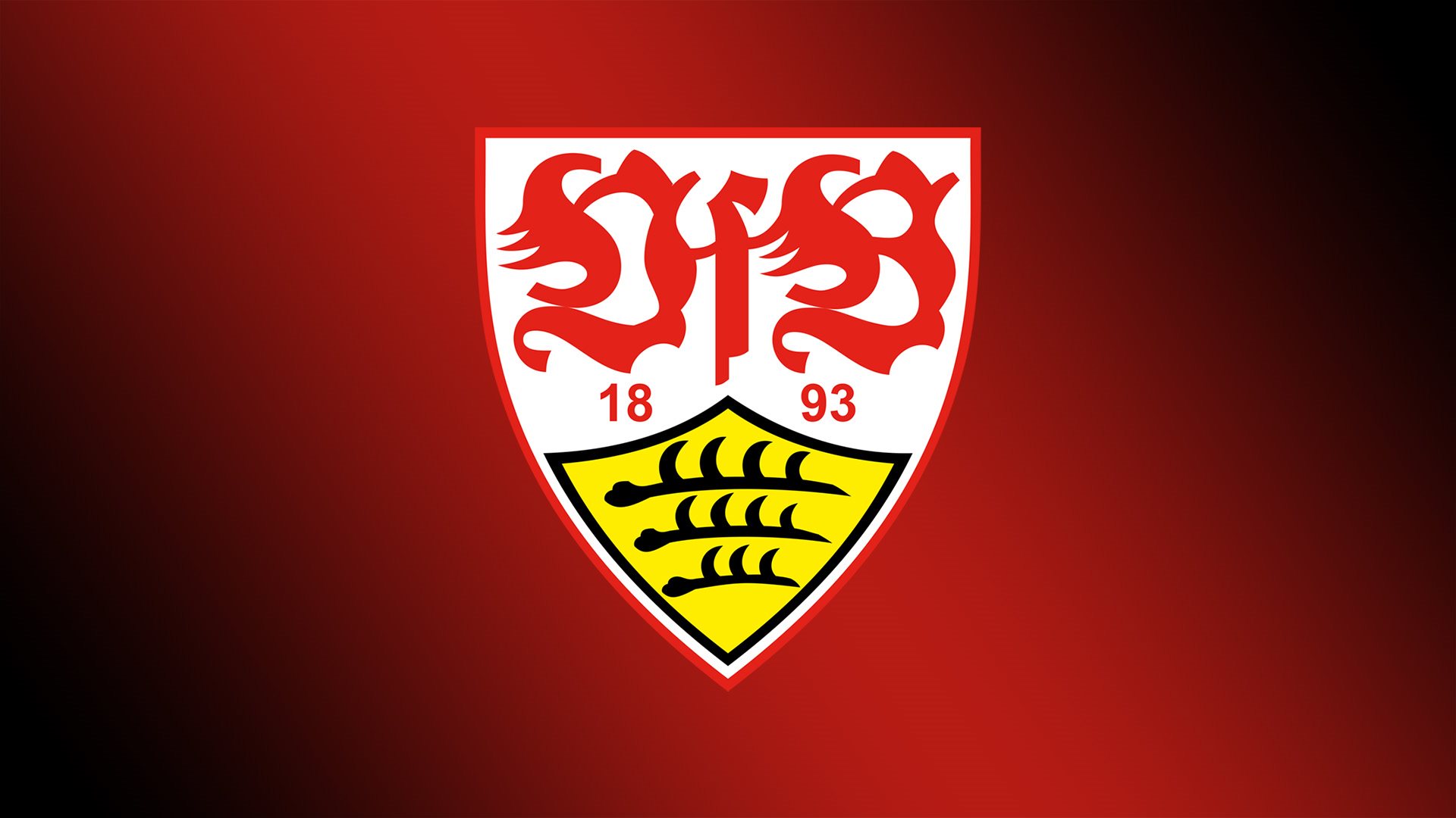 VfB-Stuttgart TV fanart