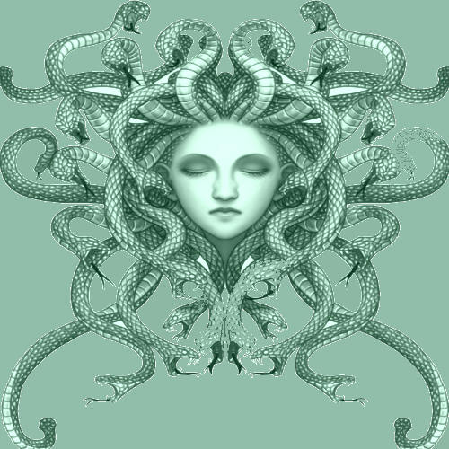 medusa Artwork