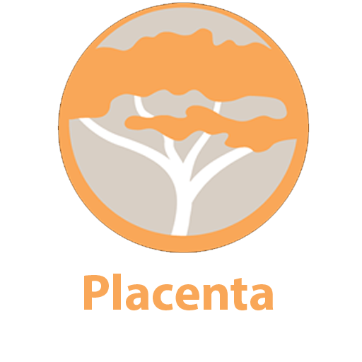 Placenta Module